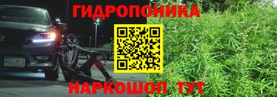 спиды Будённовск